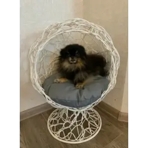 Домик для животных "Бетти 1", чёрный, серая подушка