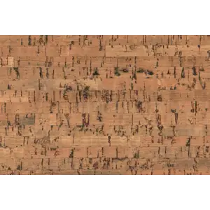 Пробковое покрытие CORKSTYLE Wall Design Costa 600*300*3мм