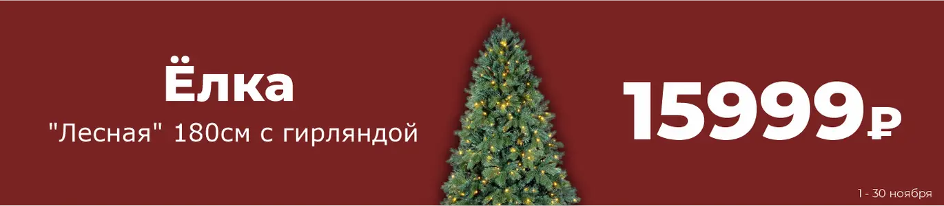 Елка. Ноябрь